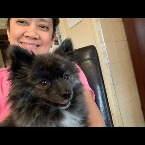 Meet your Posher, Haidee